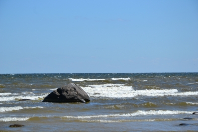 photo 795919