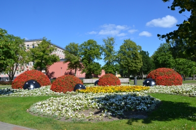 photo 797382