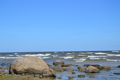 photo 799785