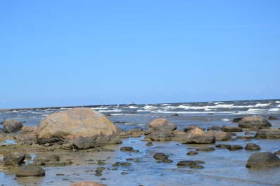 photo 799786