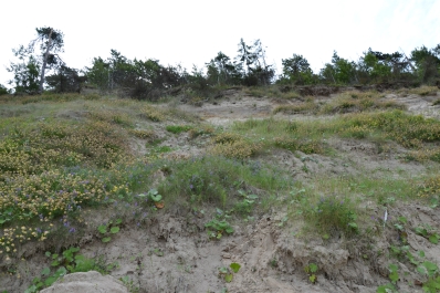 photo 806146