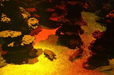 photo 815282