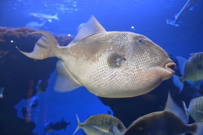 photo 815283