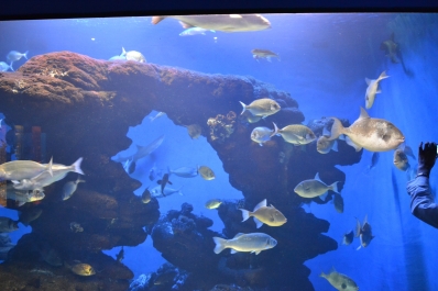 photo 815284