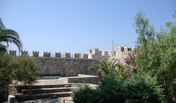 DSC05850