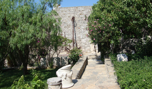 DSC05847