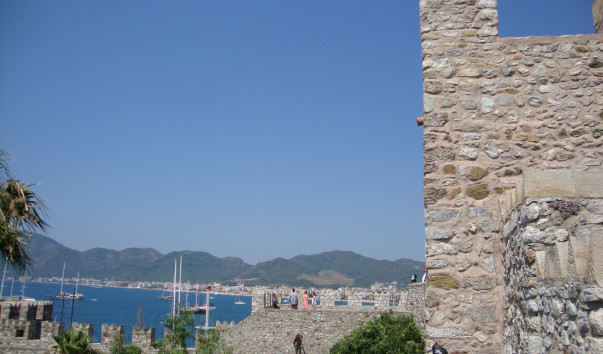 DSC05888