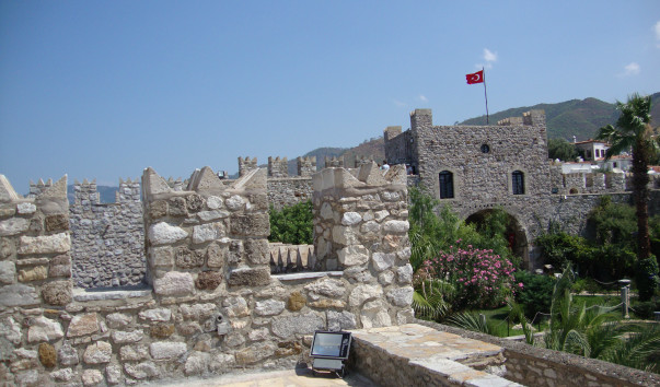 DSC05876