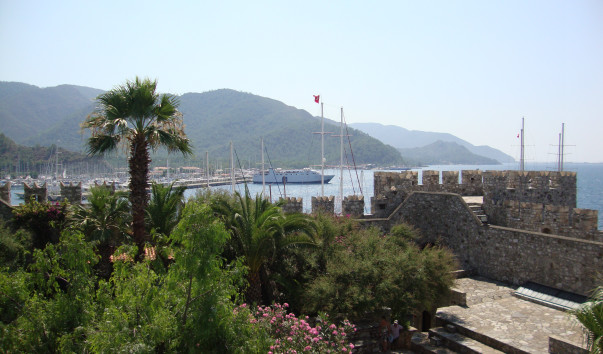 DSC05864