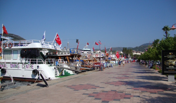 DSC05736