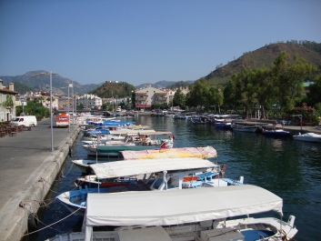 photo 788628
