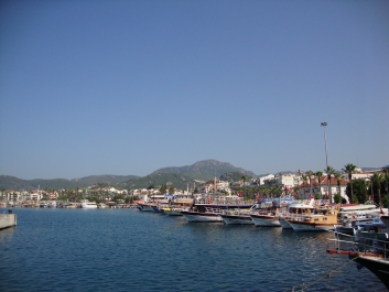 photo 788634