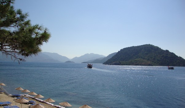 DSC05288