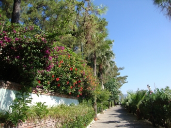 photo 832986