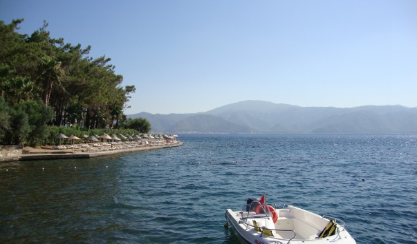 DSC05203