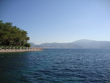 photo 838125