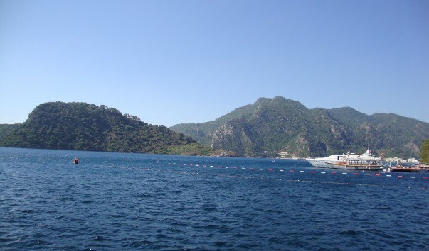 DSC05206