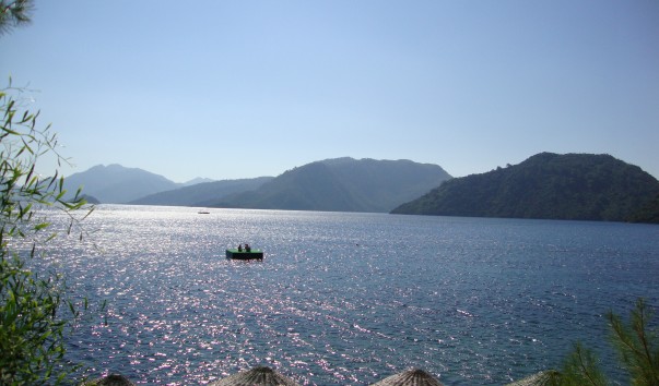 DSC05226