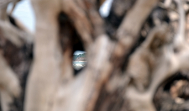 DSC_5278