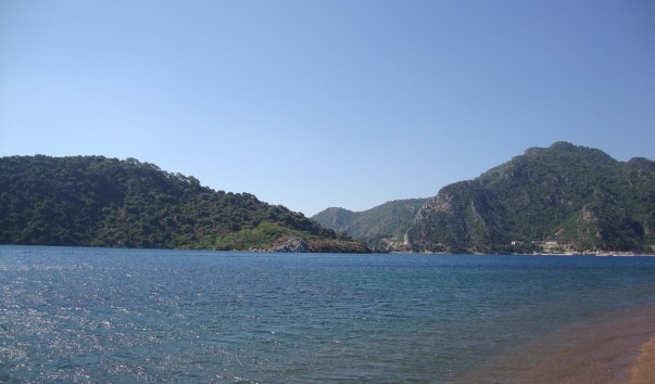 DSC05233