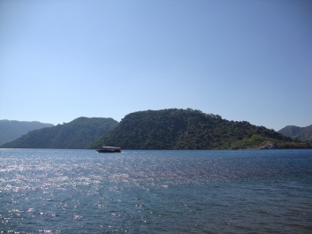 photo 839082
