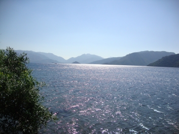 photo 839083