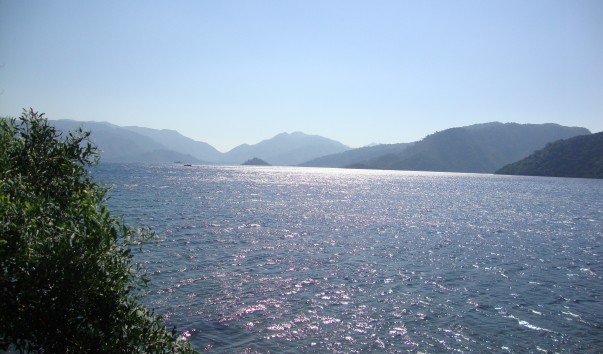 DSC05231