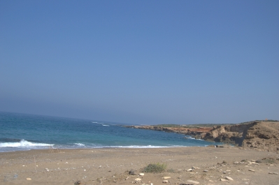 photo 783618