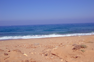 photo 783619