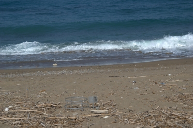 photo 783620