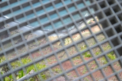 photo 872311