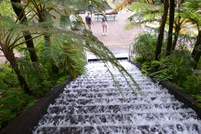 photo 876871