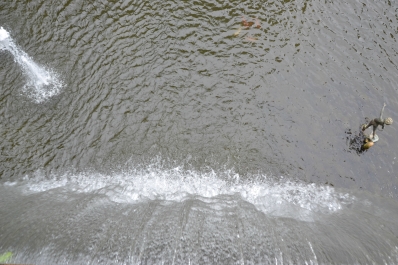 photo 876872