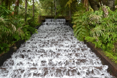 photo 876873