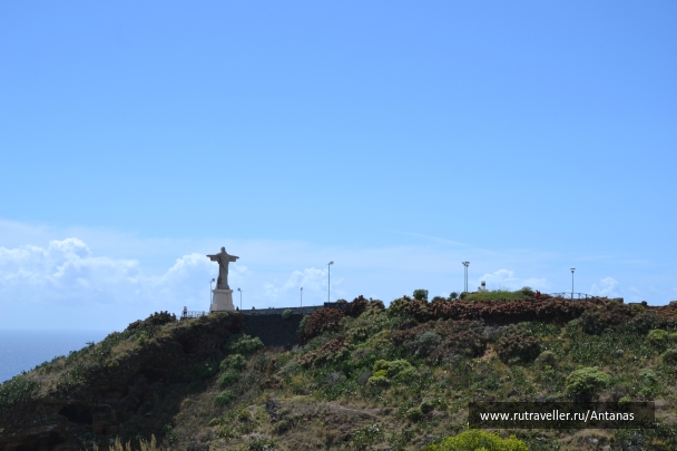 photo 873624