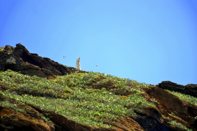 photo 897254