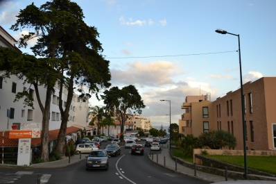 photo 900169