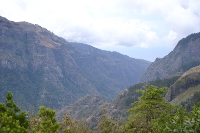 photo 878865