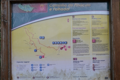 photo 878871