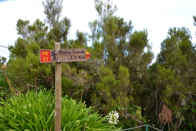 photo 878935