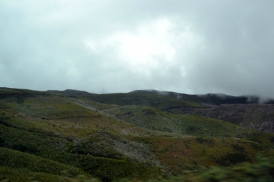 photo 880975