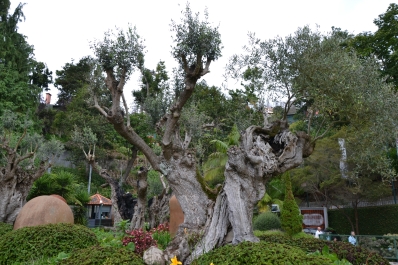 photo 877865