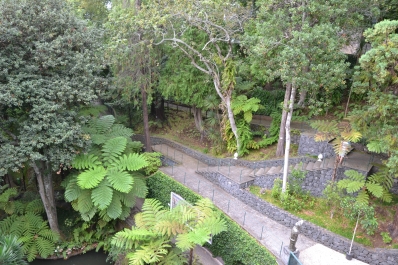 photo 877866