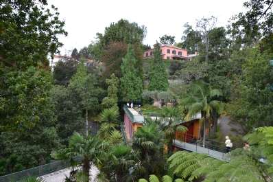 photo 877868
