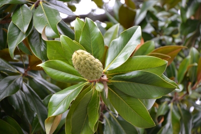 photo 886804