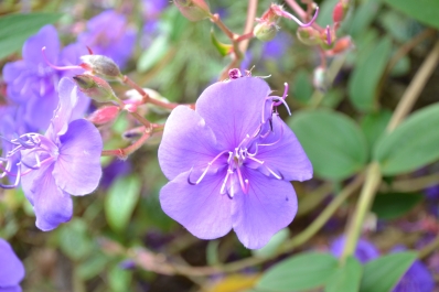 photo 887222