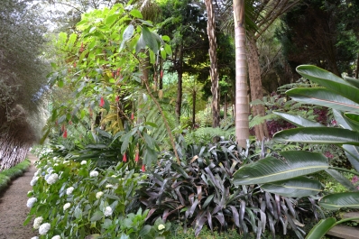 photo 887658