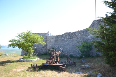 photo 1038516