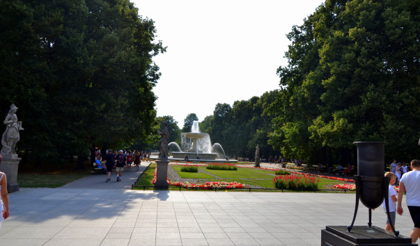DSC_6974