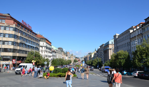 DSC_8685